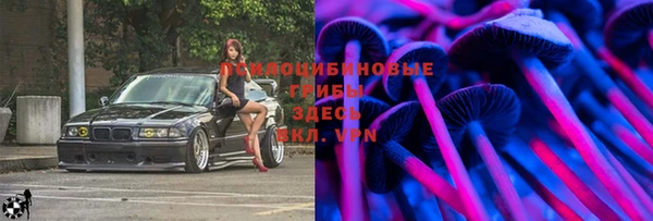 бошки Верхний Тагил