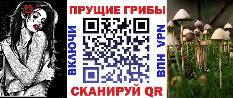 Псилоцибиновые грибы Psilocybe  Данков 